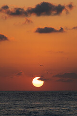 Sunrise by the beach