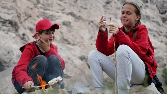 Brother and sister teenagers roast marshmallows on a fire in a fire, sticking them on sticks made from twigs on a pine tree in the mountains. Cute european funny kids on a journey. active people