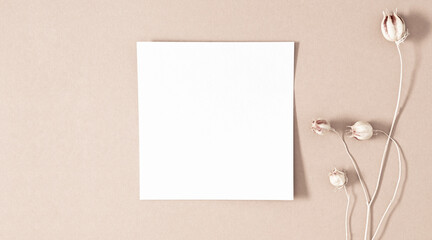 Flat lay, top view of paper blank, dried flowers, dry plants on pastel beige background. Autumn, fall concept, copy space