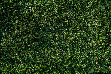 green grass background © Yaritza
