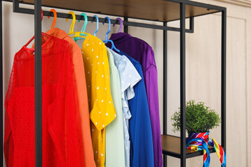 Shelving unit with colorful clothes and houseplant near white wall