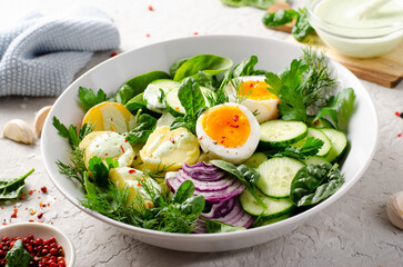 Green Buddha Bowl with Fresh Herbs and Vegetables, Healthy Balanced Meal, Bowl or Salad with Young Potatoes, Cucumber, Lettuce, Egg and Herb Dressing