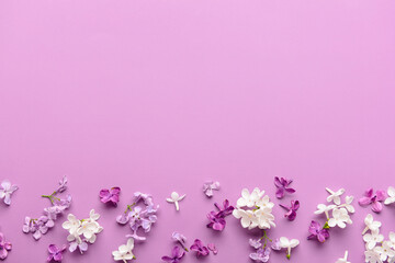 Composition with different beautiful lilac flowers on pink background