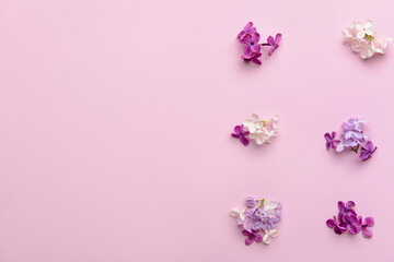 Fototapeta na wymiar Composition with different beautiful lilac flowers on pink background