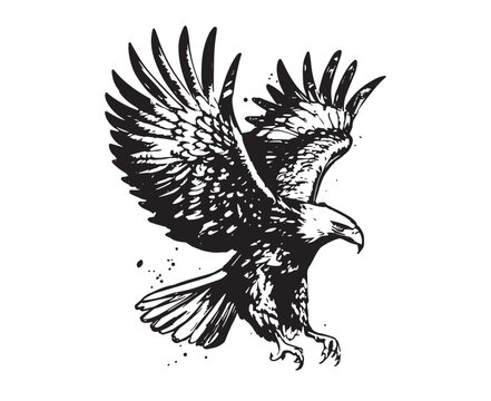Eagle hand drawn vector illustration.