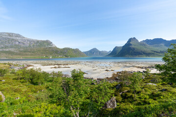 une plage sauvage  et verdoyante avec du sable blanc devant une chaine de montagne scandinave