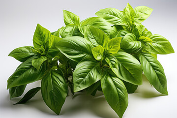 Close-up image of basil leaves isolated on a white background, highlighting their vibrant green color and aroma. Generative Ai.