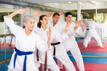 Women and men of different ages doing kata during group karate training.