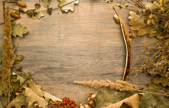 autumn dry plants on wooden surface for background.autumn background with free space for text for wallpaper postcard banner