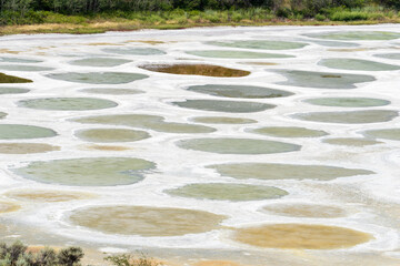 Close up of Osoyoos Spotted Lake