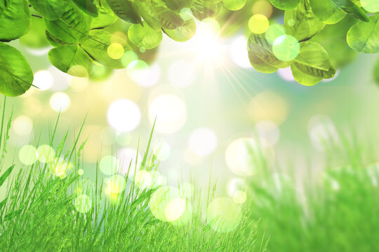 3D render of green leaves and grass against a bokeh lights background