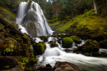 Fototapeta na wymiar waterfall in the mountains Pacific Northwest