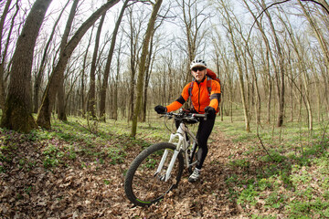Fototapeta premium Cyclist Riding the Bike on a Trail in Summer Forest. Sport Concept.