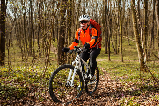 Cyclist Riding the Bike on a Trail in Summer Forest. Sport Concept.