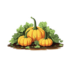 Vector illustration of a harvest of orange pumpkins
  in green leaves.