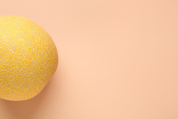 Sweet melon on orange background