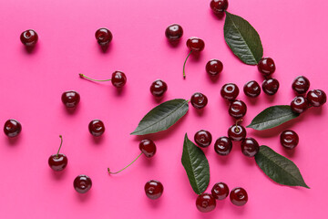 Many sweet cherries and leaves on pink background