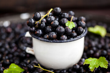 Fresh delicious organic  black currant in a mug