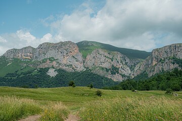 landscape in the summer time