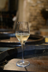 Tasting of grand cru sparkling white wine with bubbles champagne by old champagne caves in grand cru wine producer small village Cramant, Champagne, France