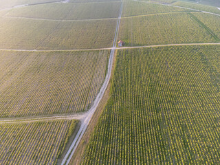 Panoramic aerial view on green premier cru champagne vineyards and fields near village Hautvillers and  Cumieres and Marne river valley, Champange, France