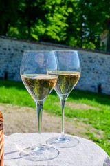 Tasting of premier cru sparkling rose wine with bubbles champagne with view on green pinot noir, meunier vineyards of Hautvillers, France.