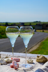 Tasting of grand cru sparkling white wine with bubbles champagne with view on old houses of Oger, small village with grand cru vineyards, France.
