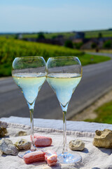 Tasting of grand cru sparkling white wine with bubbles champagne with view on old houses of Oger, small village with grand cru vineyards, France.