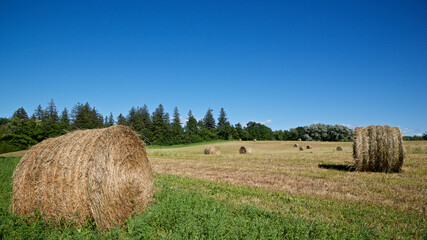 Agricultural field with hay bales in Canada