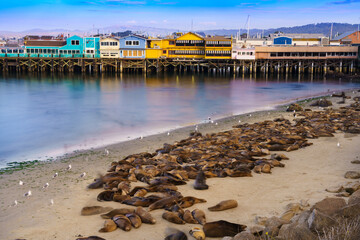 Obraz premium Fisherman's Wharf Scenic - Monterey, California