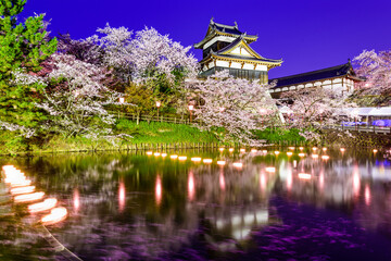 Nara, Japan at Koriyama Castle in the spring season.