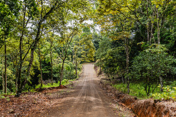 Dirt Road at Nauyaca Waterfalls Costa Rica