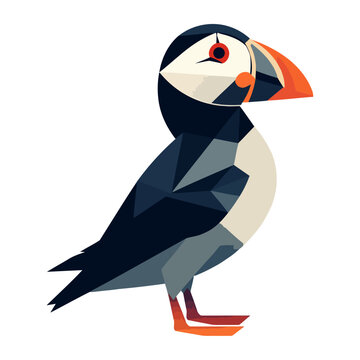 Cute puffin bird tropical nature