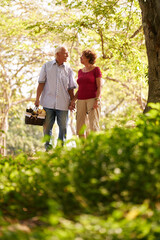 Fototapeta premium Old couple, elderly man and woman in park. Active retired seniors holding hands and walking in park with a picnic basket