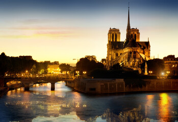 Fototapeta na wymiar Notre Dame de Paris Cathedral at night.