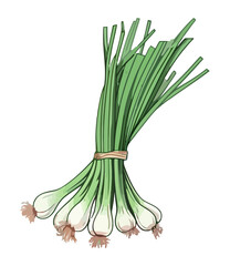 spring onion vegetables, perfect for healthy eating