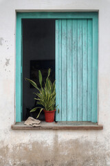 A photo of a facade and a window with a plant sitting on it in Cuba 