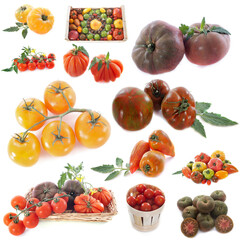 group of tomatoes in front of white background