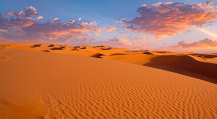 Fototapeta na wymiar majestic dry desert with a beautiful sunset in high resolution