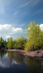 Fototapeta na wymiar Outdoor nature. Daytime summer landscape with river and blue sky.