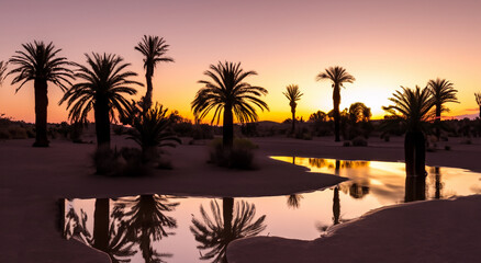 Fototapeta na wymiar beautiful oasis with a water hole in the middle of the desert in high resolution and sharpness