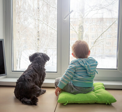 Baby with Dog Looking through a Window in Winter. Rear View. Boy and Pet Friends Concept. Toned Photo with Copy Space.