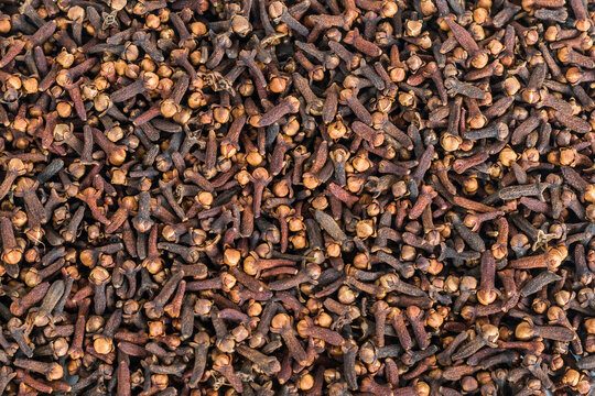 Spice cloves (lavang) background