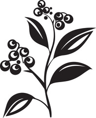 Bilberry Black And White, Vector Template  for Cutting and Printing