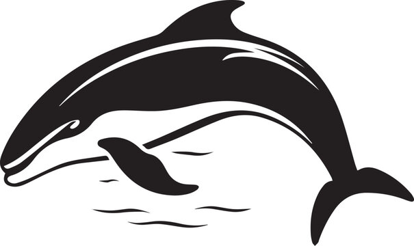 Beluga Whale Black And White, Vector Template  for Cutting and Printing