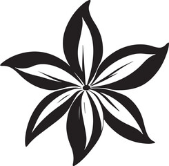 Carambola Black And White, Vector Template Set for Cutting and Printing