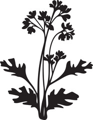 Coral Bells Black And White, Vector Template Set for Cutting and Printing