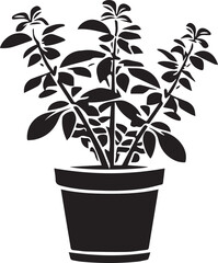 Oregano Black And White, Vector Template Set for Cutting and Printing