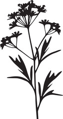 Verbena Black And White, Vector Template Set for Cutting and Printing