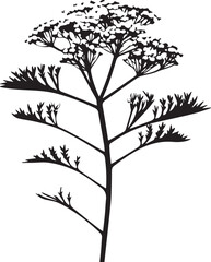 Yarrow Black And White, Vector Template Set for Cutting and Printing